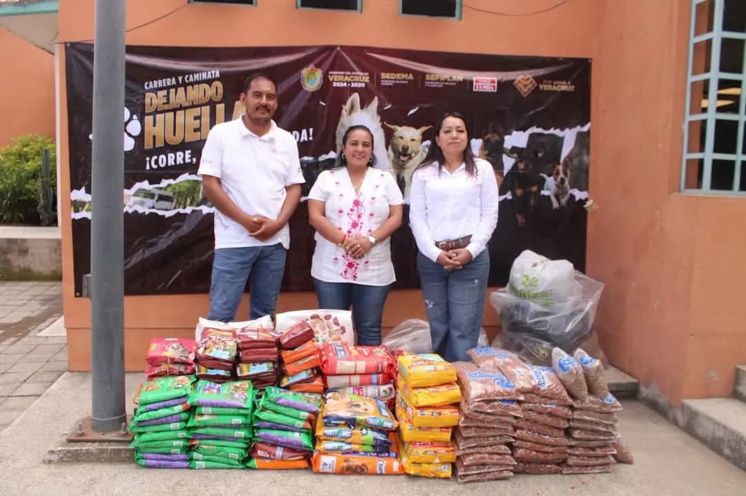 Xalapa suma esfuerzos con Sedema por el bienestar animal